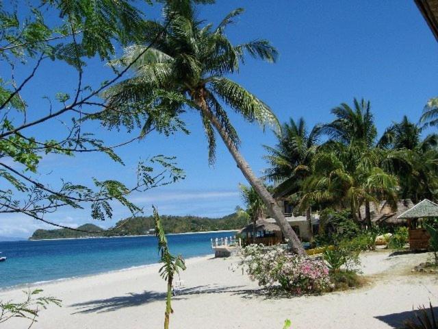 El Canonero Diving Beach Resort Puerto Galera Luaran gambar